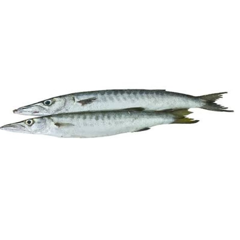 White Kund
