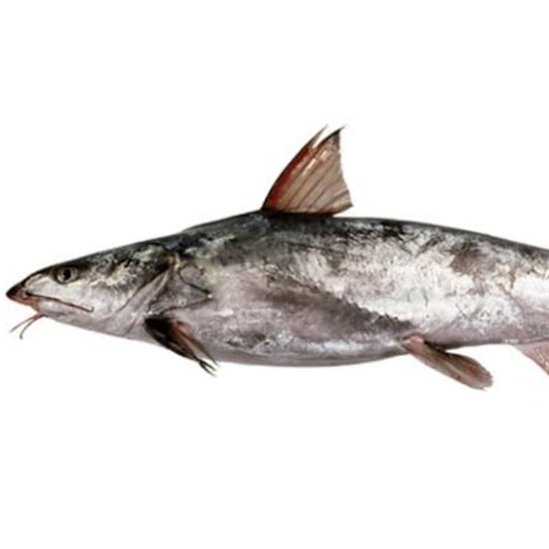Khagga
