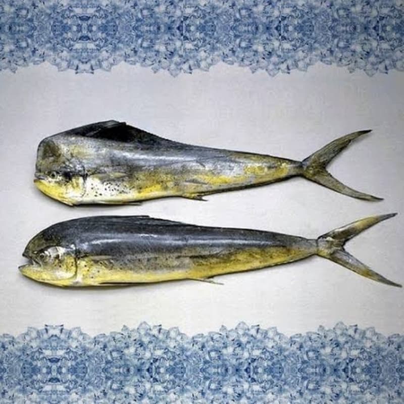 Amloshk/Mahi Mahi