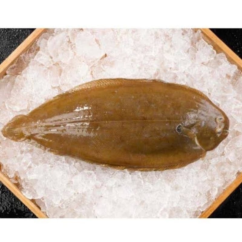 Sole (Chappal)