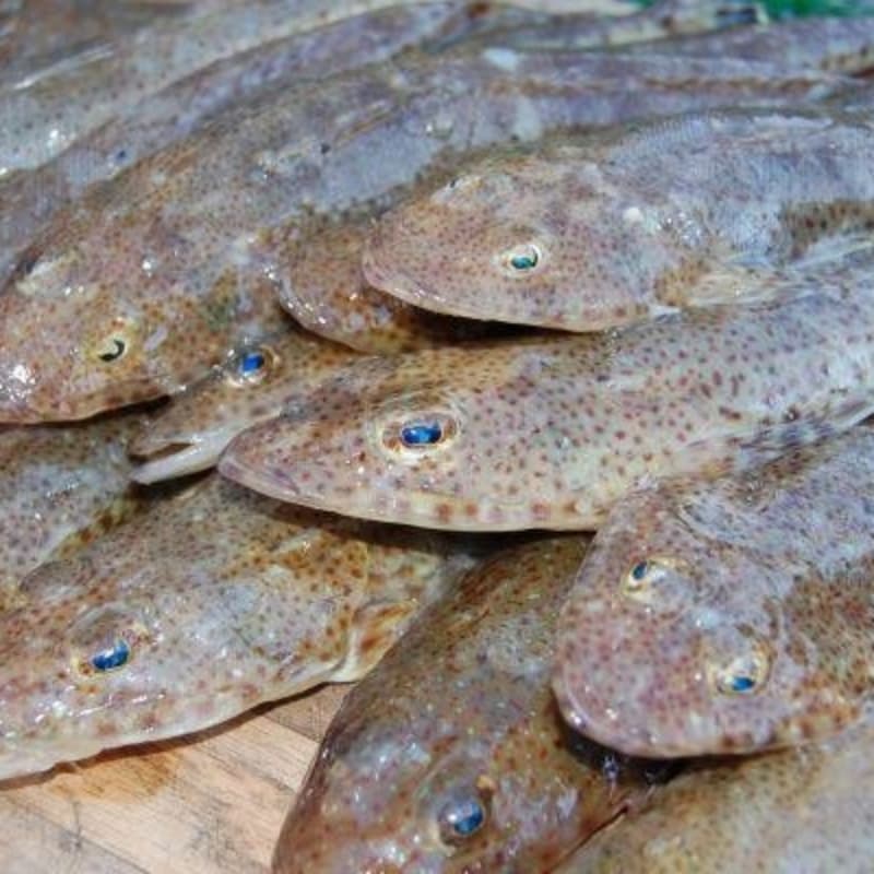 Khukhar/Kukkar Fish