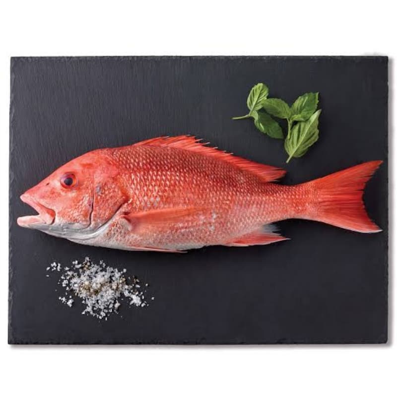 Kanarcha Heera Fish