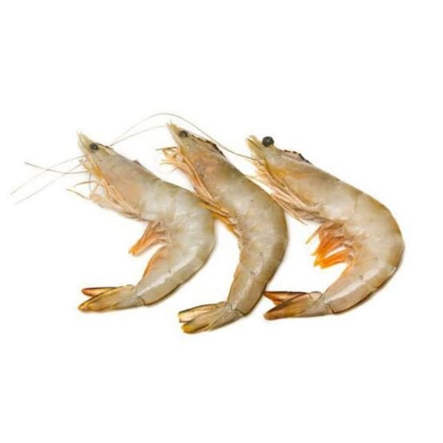 Jaira Prawn